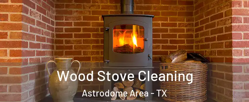 Wood Stove Cleaning Astrodome Area - TX