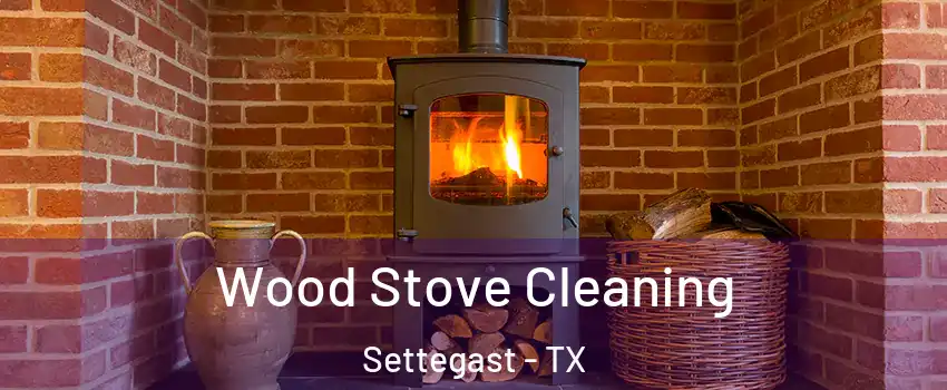Wood Stove Cleaning Settegast - TX